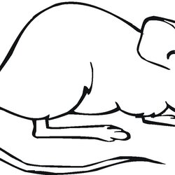 Superior Free Printable Mouse Coloring Pages For Kids Mice Computer Print Sketch Template Popular