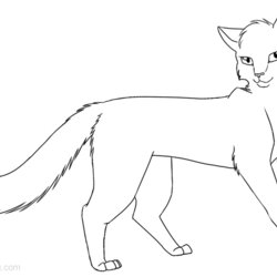 Champion Warrior Cats Coloring Pages Free Printable Kids Color Print