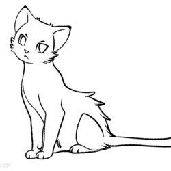 Smashing Warrior Cats Coloring Pages Outline Free Printable Kids Color Adults Print