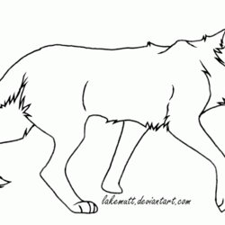 Great All Warrior Cats Coloring Page For Ages Home Sheets