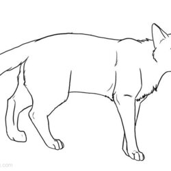 Warrior Cats Coloring Pages By Free Printable Kids Color