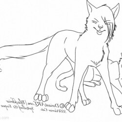 Sublime Warrior Cats Coloring Pages Fan Art Free Printable Kids