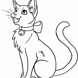 Supreme Warrior Cats Printable Coloring Pages At Free Download Cat Outline Furry Line Kitty Print Kit