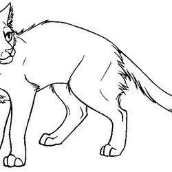 Best Images About Warrior Cat Coloring Pages On Tree Cats Sheet Realistic Drawings Drawing Color Printable