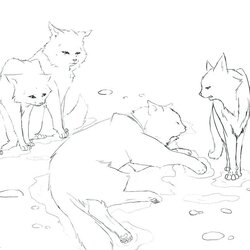 Brilliant Coloring Pages Of Warrior Cats At Free Printable Fighting Cat Color