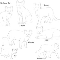 Excellent Warrior Cat Coloring Pages To Print Home Cats Clan Bases Dog Rose Colouring Template Miracle
