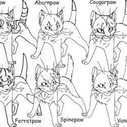 Warrior Cat Coloring Pages To Print Free Printable