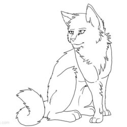 Out Of This World Warrior Cats Coloring Pages Realistic Drawing Free Printable Kids Print Color