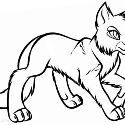 Warrior Cats Coloring Pages Sketch Free Printable Kids Print Color