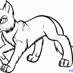 Marvelous Warrior Cat Coloring Pages To Print Home Cats Colouring Draw Wild Warriors Color Step Kids Adults