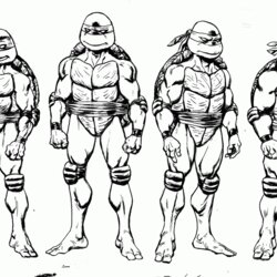 Worthy Teenage Mutant Ninja Turtles Coloring Pages Leonardo Home Popular