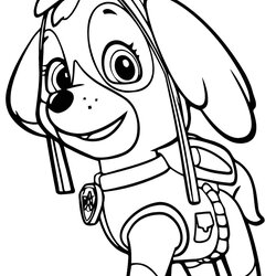 Capital Free Printable Coloring Pages Paw Patrol At Skye Print Easter Pet Template Color Preschoolers