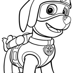 Very Good Paw Patrol Coloring Page Home