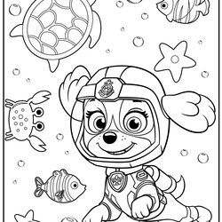 Paw Patrol Characters Coloring Pages At Free Printable Color Print Cartoons