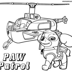 Admirable Paw Patrol Printable Coloring Pages Home Skye Everest