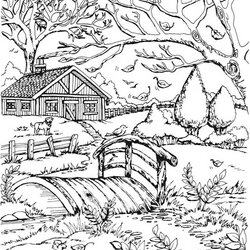 Spiffing Fall Coloring Pages For Adults To Print Geneva