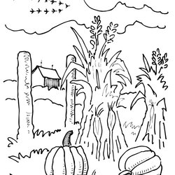 Supreme Autumn Scene Drawing At Free Download Coloring Fall Pages Scenery Corn Farm Field Stalk Stalks