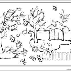 Autumn Scene Image Coloring Pages Leaves Color Seasons Nature Printable