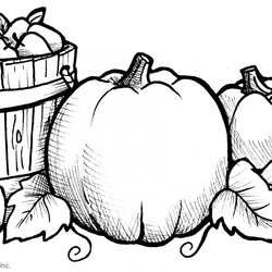 Admirable Fall Scene Coloring Pages At Free Printable Autumn Leaves Flowers Kindergarten Color Print