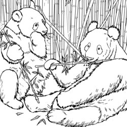Super Panda Coloring Pages Best For Kids Bears