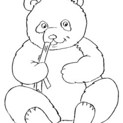 Capital Panda Bear Coloring Pages To Download And Print For Free Kids Color