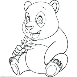High Quality Cute Panda Bear Coloring Pages At Free Download Baby Red Color Printable Print Drawing Pandas