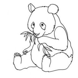 Superior Panda Pictures To Print Coloring Home