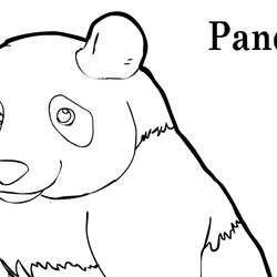 Spiffing Panda Bear Coloring Pages To Download And Print For Free Templates Animal Template Premium