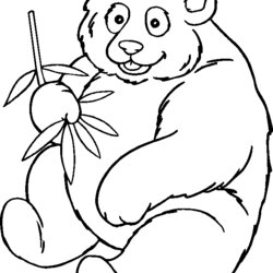 Smashing Panda Bear Coloring Pages To Download And Print For Free