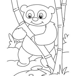 Cool Baby Panda Pages Printable Coloring Bear Template Top For Your Little Ones