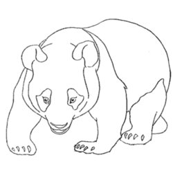 Panda Bear Coloring Pages To Download And Print For Free Printable Kids Cute Drawing Bears Animal Animals