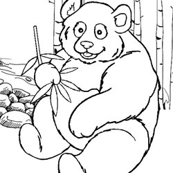 Swell Panda Bear Coloring Pages Best Printable Kids Colouring Cute Zoo Color Preschool Book Sheets Animals