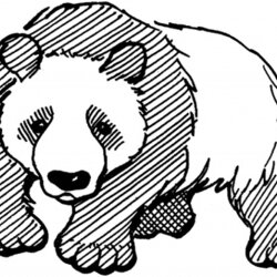 Disney Coloring Pages Cute Panda Bear For Kids Printable Drawing Color Print Giant Realistic Mammals Adults
