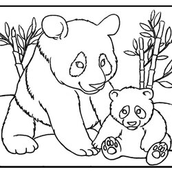 Splendid Panda Bear Pictures Printable Coloring Pages Baby Color Print Colour Little Template Cute Ones Top