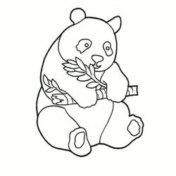Outstanding Panda Coloring Pages At Free Printable Bear Baby Cute Kids Cartoon Drawing Color Halloween Print