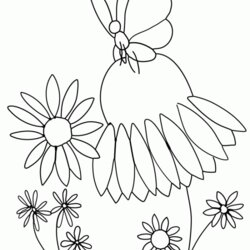 Champion Coloring Pages For Year Home Printable Butterfly Flower Clip Outline Flowers Monarch Butterflies