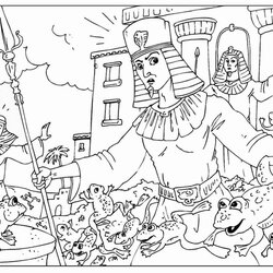 Great Happy Passover Coloring Pages At Free Download Printable Sheets First Print Story Color Plague Frogs