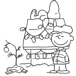 Exceptional Peanuts Drawing At Free Download Coloring Pages