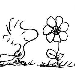 Smashing Free Printable Peanuts Coloring Pages Snoopy Woodstock Crayola