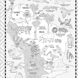 Cool Map Coloring Pages Macmillan