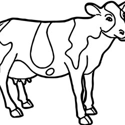 Wizard Cute Cow Coloring Pages At Free Printable Farm Animal Cattle Easy Drawing Colouring Color Print Sheets