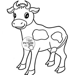 Excellent Cow Printable Coloring Pages Home