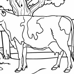 Terrific Free Printable Cow Coloring Pages For Kids Dairy Adults Realistic Color Print