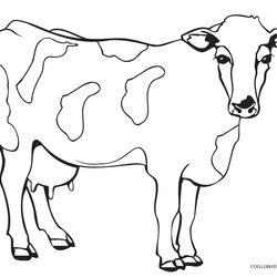 Matchless Free Printable Cow Coloring Pages For Kids