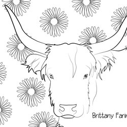 Swell Cow Coloring Page Australia
