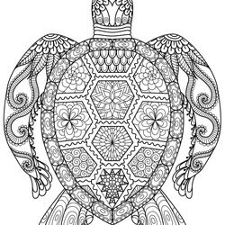 Cool Coloring Pages For Adults Article Articles