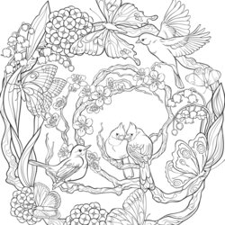 Matchless Free Printable Coloring Pages For Adults Online Templates