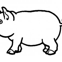 Wonderful Get This Pig Coloring Pages Free Template Outline Print Drawing Animal Templates Farm Vector
