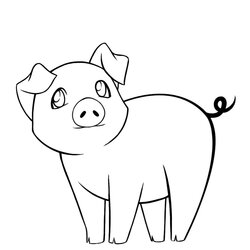 Sublime Printable Pig Coloring Pages Pigs Drawing Cute Drawings Flying Baby Easy Kids Little Cartoon Draw