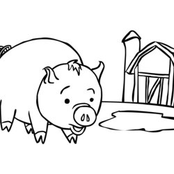 Terrific Free Printable Pig Coloring Pages For Kids Baby